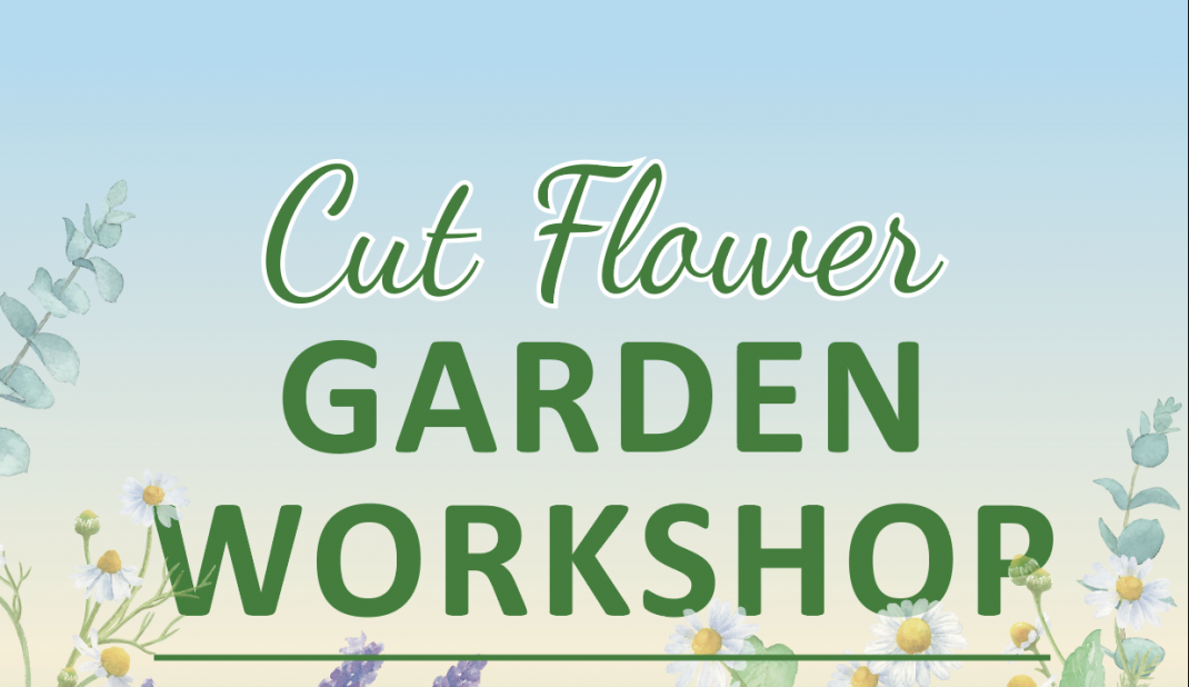 Cut Flower Garden Workshop graphic