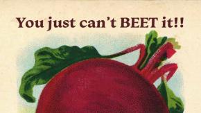 you just cant beet it
