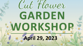 Cut flower Garden Workshop graphic