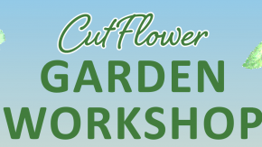Garden Workshop